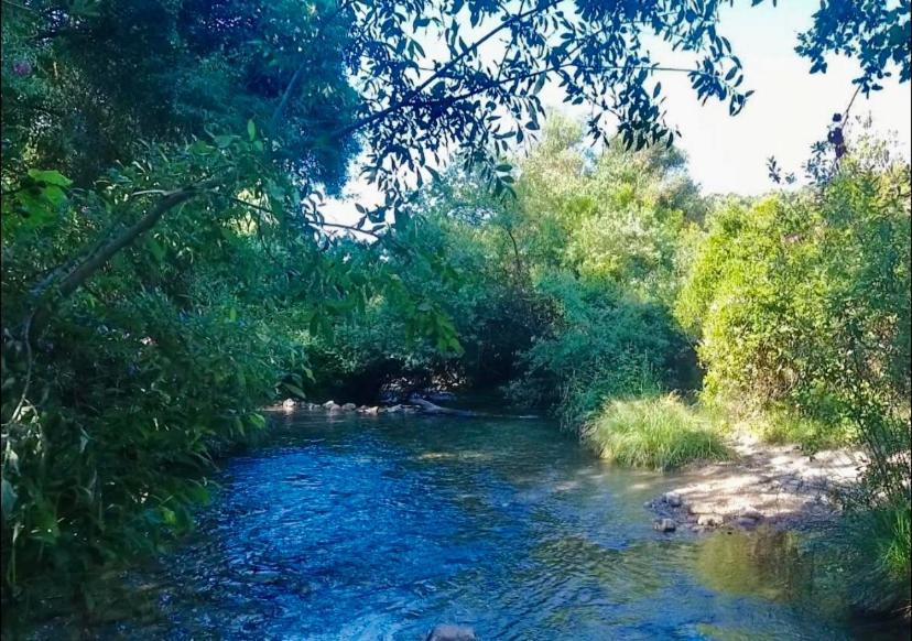 La Buhardilla De Torrecillas เอลบอสเก ภายนอก รูปภาพ