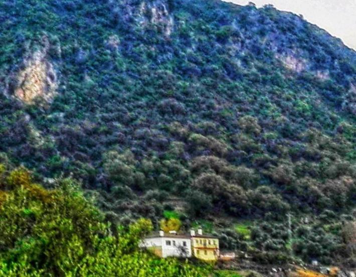 La Buhardilla De Torrecillas เอลบอสเก ภายนอก รูปภาพ