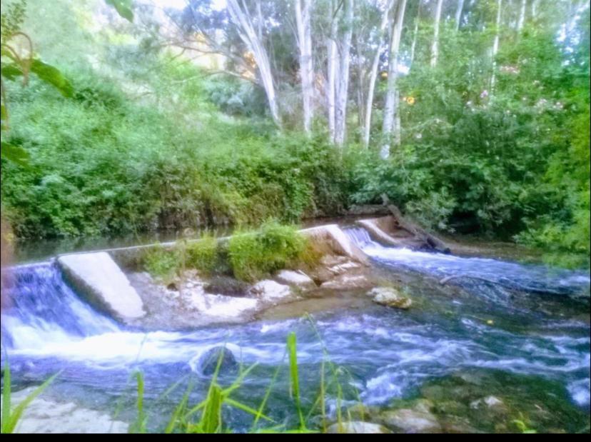 La Buhardilla De Torrecillas เอลบอสเก ภายนอก รูปภาพ
